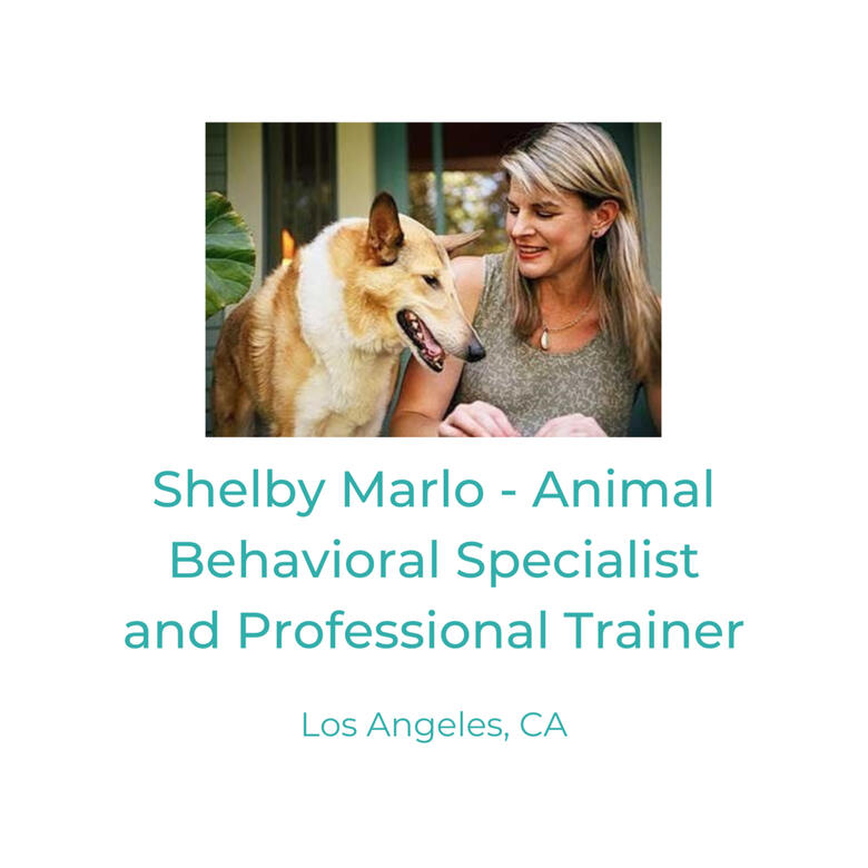 Shelby Marlo - Animal Behavioral Specialist and Professional Trainer